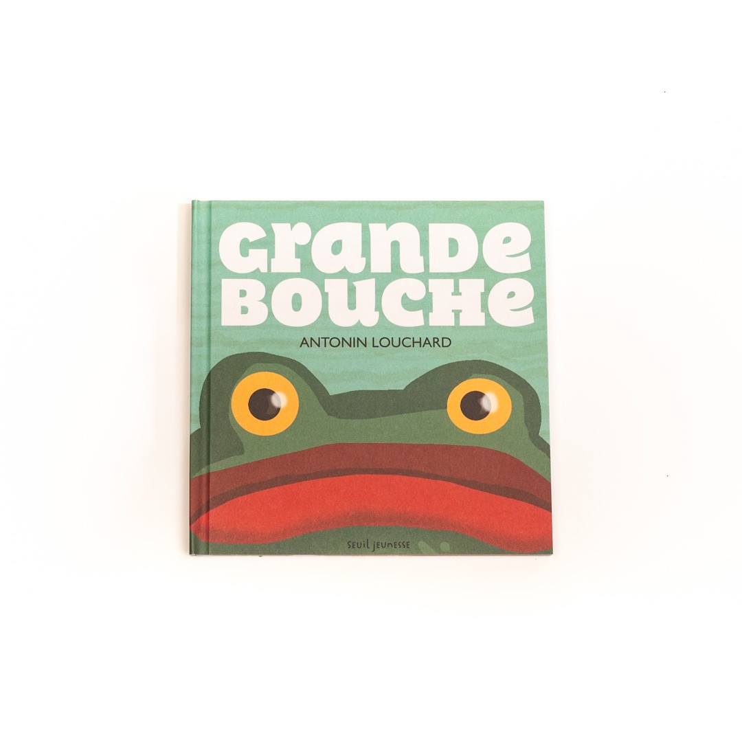 lot de 3 livres: je suis un lion, grande bouche, la piscine